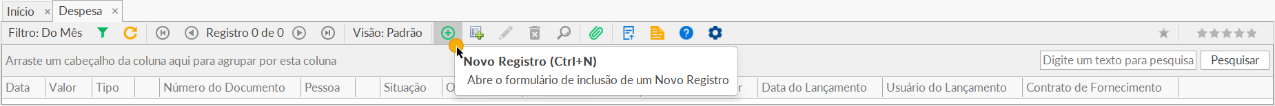 Despesa - Novo Registro.png
